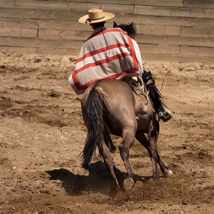 Hombre caballo rodeo